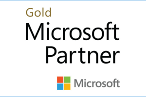 Gold-MS-Partner